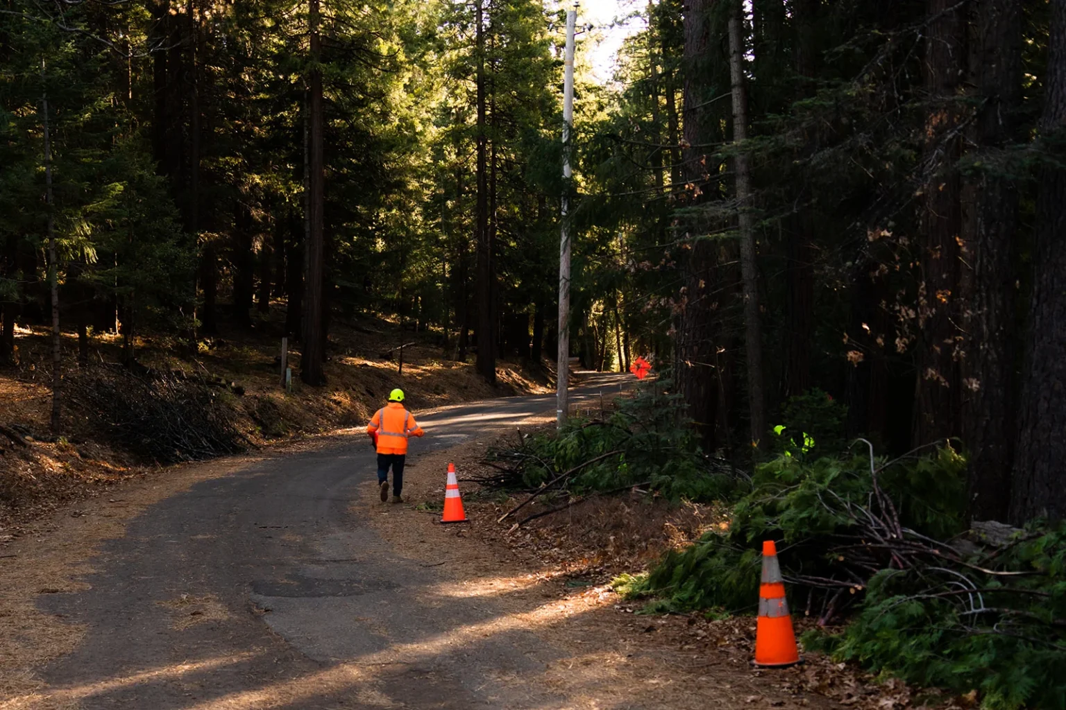 Emergency Tree Service Humboldt county