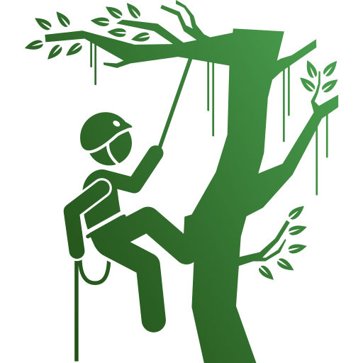 Tree Care and Maintenance