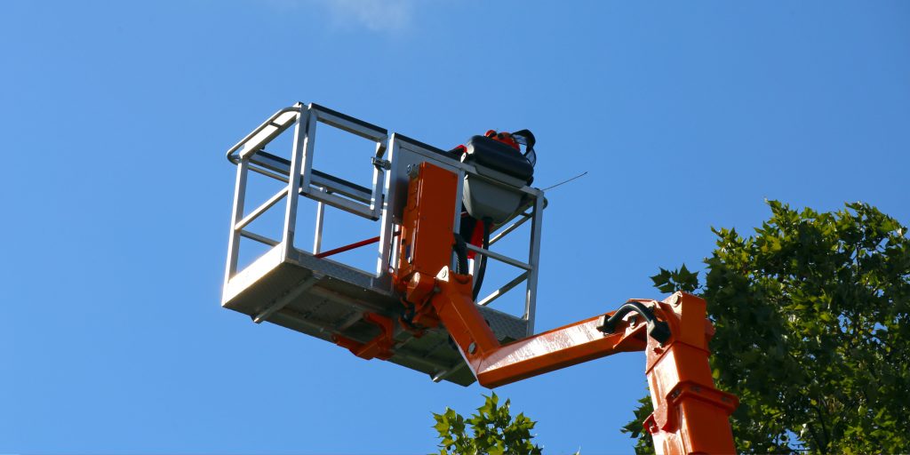 Tree Services for Commercial Properties