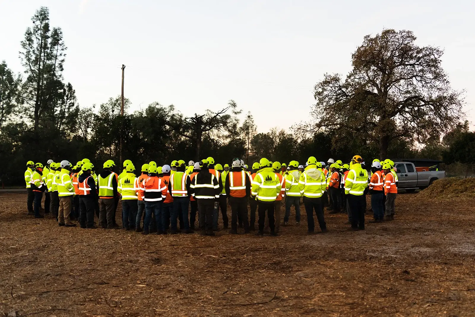 West Coast Tree Service safety focused crew